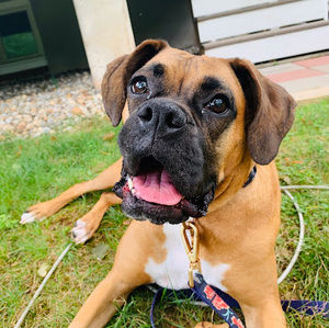 Meet your Posher, Matthew